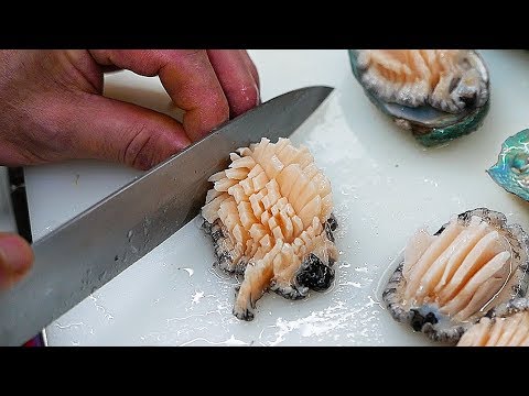 Why Is Abalone Called A Sea Snail? - Abalone Dissection