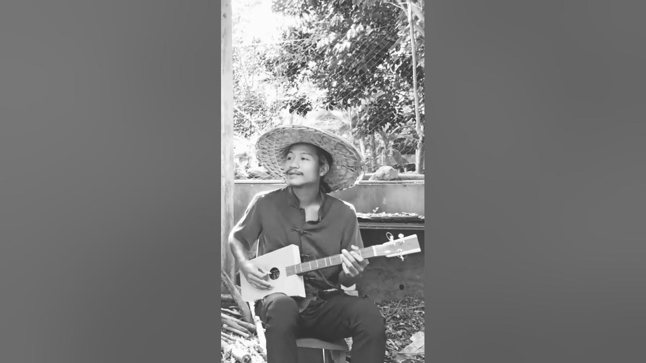 นกไซบินข้ามทุ่ง ลายพิณอัมตะอีสาน #traditionalmusic #พิณ #ม่วนๆ