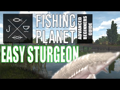 The Complete Fishing