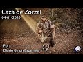 Caza de Zorzal 04-01-2020. Cobros en sucio