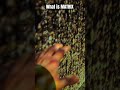 Matrix