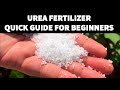 PAANO MAG-APPLY NG UREA FERTILIZER 46-0-0 | HOW TO APPLY UREA FERTILIZER