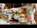 鯖缶か の翌日 あれ これほんとに鯖缶 になってた 鯖缶か の翌日 あれ これほんとに鯖缶 になってた