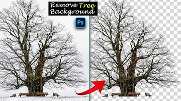 🌳 Remove Tree Background - Simple Trick - Photoshop Tutorial 2024 🌳