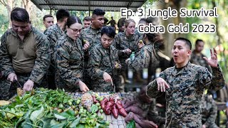 Ep. 3 Jungle Survival Cobra Gold 2023 ดำรงชีพในป่าเขตร้อน ให้หมอ/พบาบาล Uss ครั้งแรก