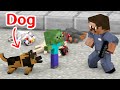 Monster School : Please don't kill the dogs - Sad Story - Minecraft Animation