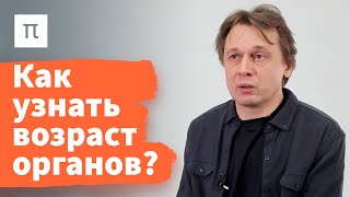 Эпигенетические часы - Вадим Гладышев / ПостНаука