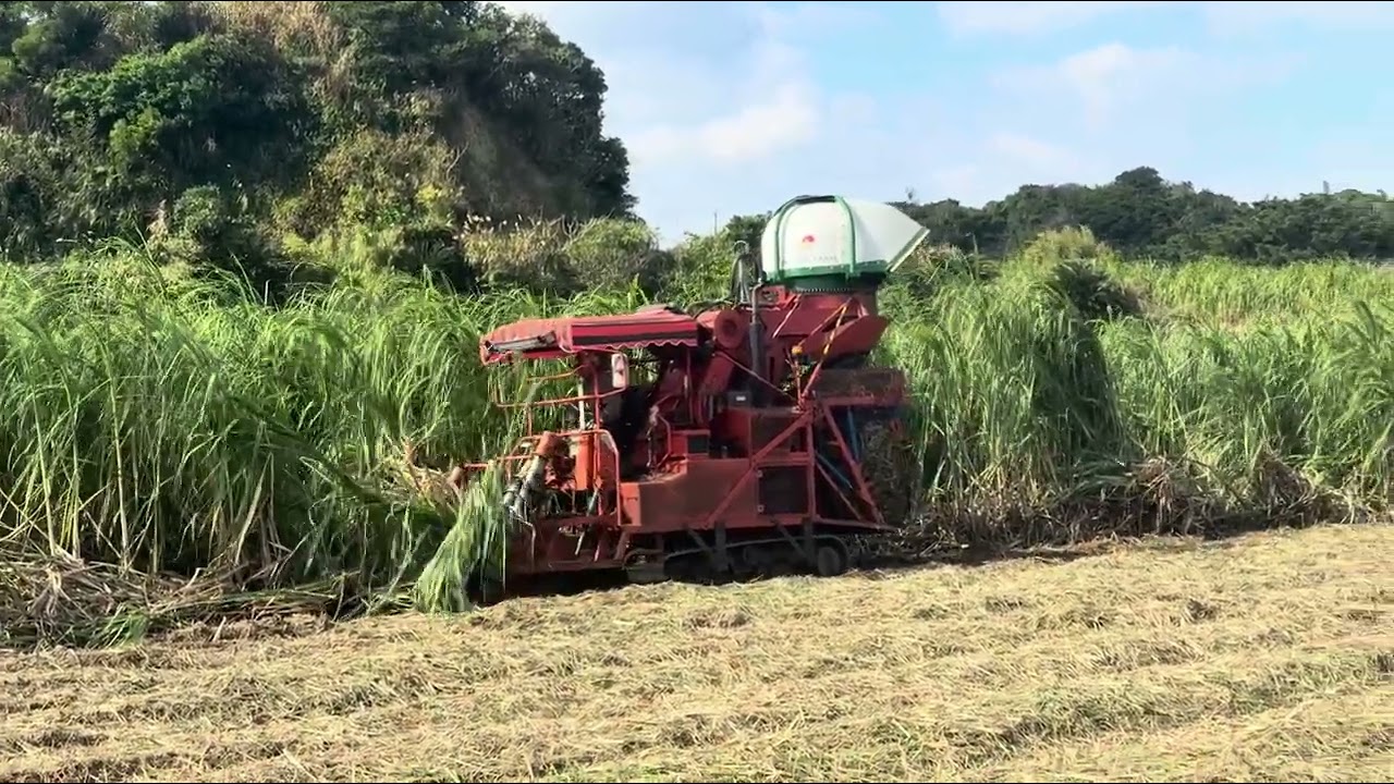 沖永良部島　自作自走ビレットプランター植え　MCH30改　サトウキビ収穫　