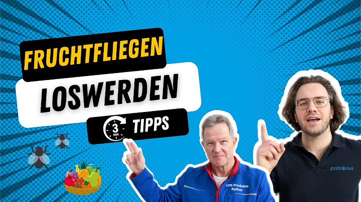 Endlich Fruchtfliegen erfolgreich loswerden 🪰🆘 Die besten Tipps in 3 Minuten!