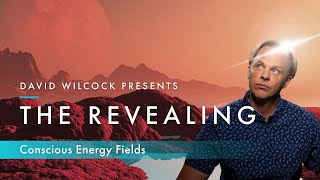 David Wilcock: The Revealing -- Conscious Energy Fields