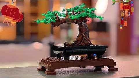 Timelapse LEGO Botanical Collection Bonsai Tree