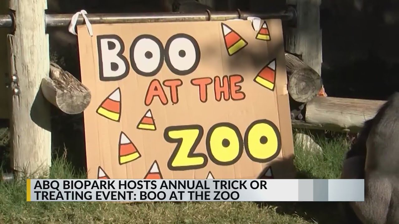 Families celebrate Halloween at Boo at the Zoo at the ABQ BioPark - YouTube