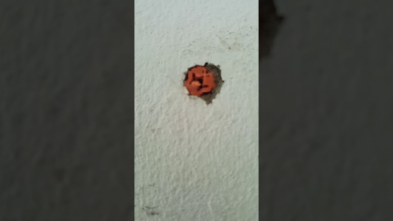 Como Quitar Un Taco De La Pared