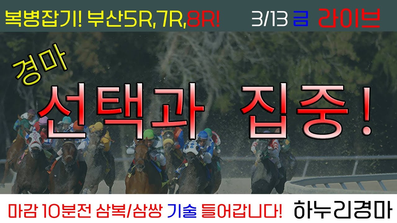 3/13(금) 경마 선택과 집중! 복병 큰거왔다! 5R,7R,8R!! 경주별 삼복/삼쌍 기술 들어갑니다!!