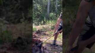 Who needs the gym when you can remove palmetto roots on your bro’s property, no pay 🤔😂💪🏽 #shorts screenshot 4