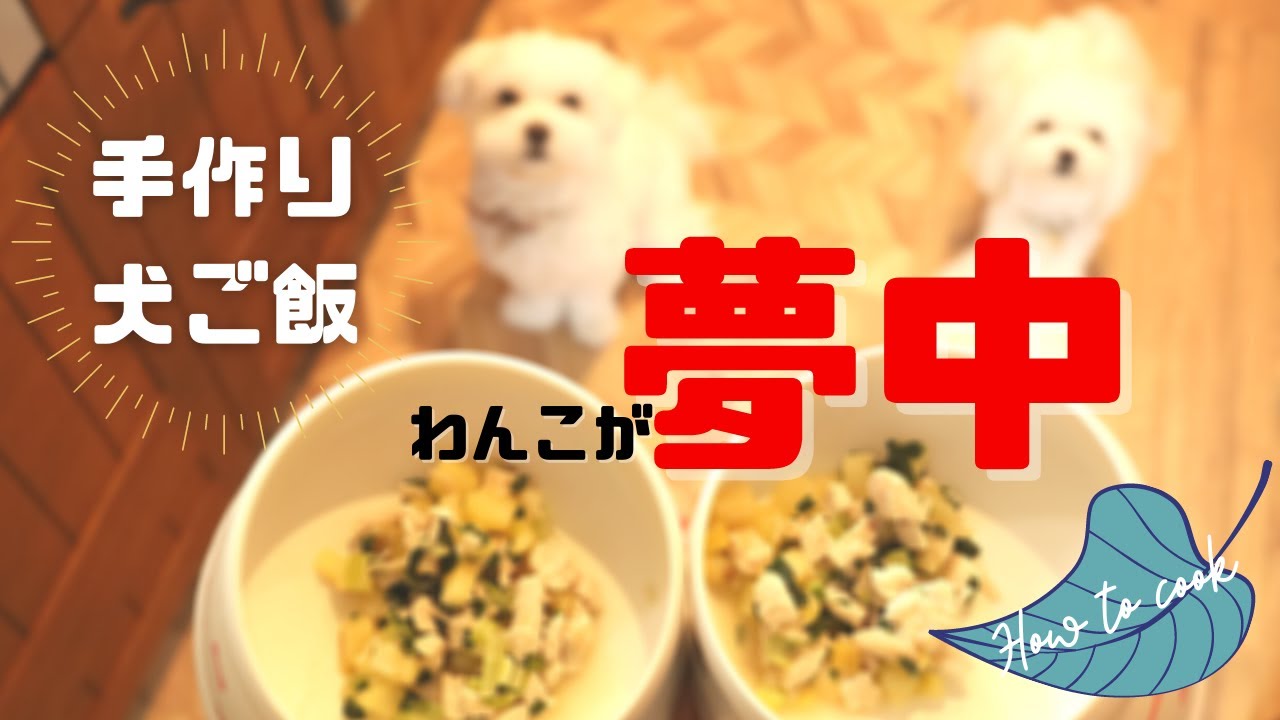 もう待ちきれない！わんこが喜ぶ簡単手作り犬ご飯レシピ - YouTube