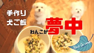 もう待ちきれない！わんこが喜ぶ簡単手作り犬ご飯レシピ