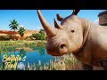 FIRST ANIMAL! White Rhino Habitat! 🦏 | Planet Zoo Africa Pack Zoo