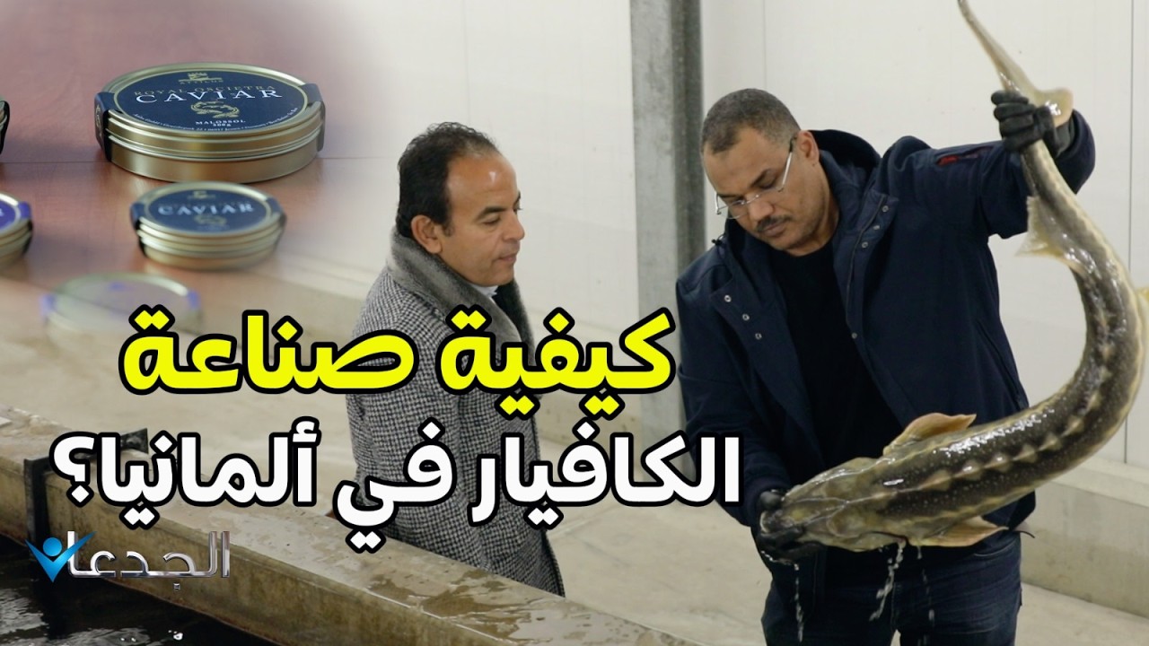 لأول مرة.. إنتاج الكافيار من أسماك الحفش في ألمانيا.. مشروع عملاق يديره مصري بإمتياز