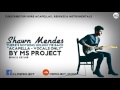 Shawn Mendes - There's Nothing Holdin' Me Back (Acapella - Vocals Only)
