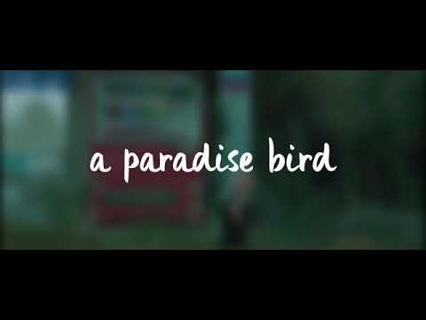 Nobody knows [Lyrics] Russ