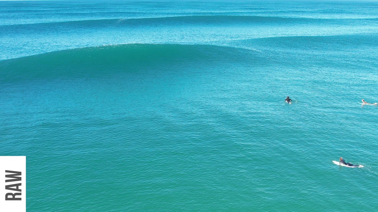 The Day Everyone Called in Sick