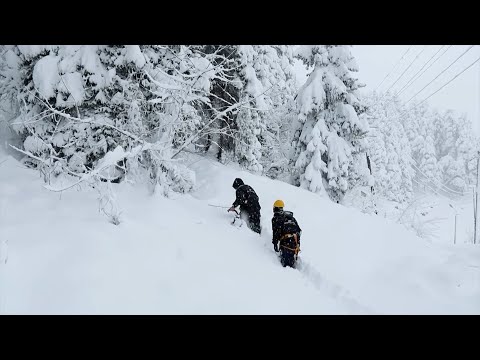 დიდთოვლობა დასავლეთ საქართველოში და ელექტროენერგიის გარეშე დარჩენილი სოფლები