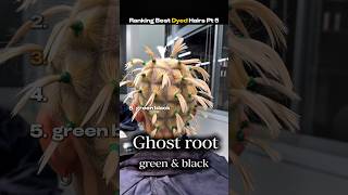 Ranking Best Dyed Hairs Pt 5