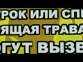 Берегите природу! Астраханская об. 23.04.21 г.