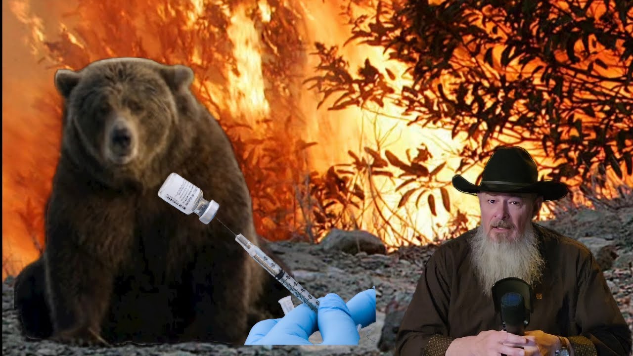 Wild Risk Wildlife at Extreme Risk, of what ? - YouTube