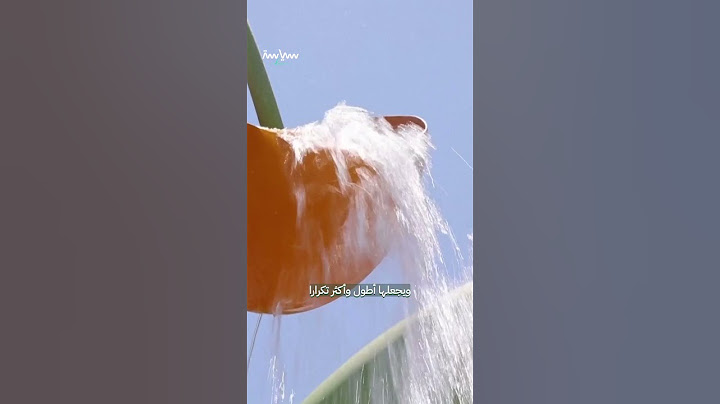 لماذا يموت الآلاف في أوروبا بسبب الحر رغم تطور بلدانهم؟