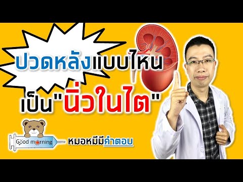 ปวดหลังแบบไหน เป็นนิ่วในไต | หมอหมีมีคำตอบ