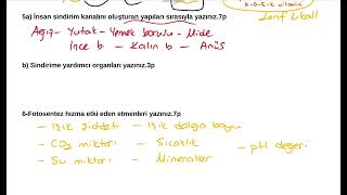 10. Sinif Bi̇yoloji̇ Maari̇f Model 1. Dönem 2. Yazili Örnek Çalişmasi V2