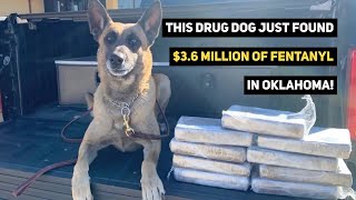 Drug dog find $3.6 million of fentanyl in Oklahoma