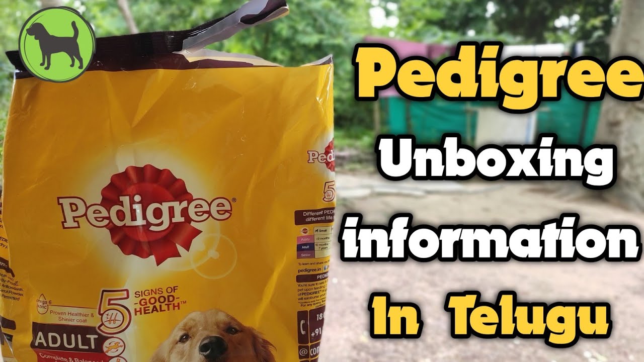 Pedigree meat and rice Unboxing Dog food || adult 3Kg pack || In Telugu