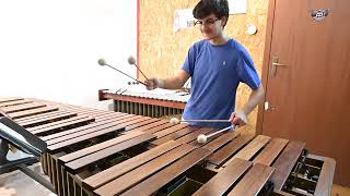 J. S. Bach- Cello suite no.2- marimba