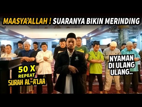 Surah Al A'laa 50 x pengulangan | Shidqi Abu Usamah