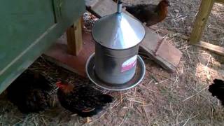 Chicken Coop Ideas 3 Of 3