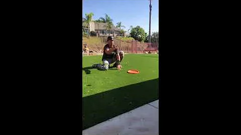 Garrett Macias - Baseball - Class of 2018