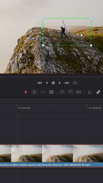Dynamic ZOOM - DaVinci Resolve