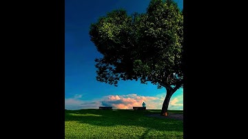 فضيلة الشيخ محمود خليل الحصري#سورة النجم#الذين يجتنبون كبائر الإثم والفواحش إلا اللمم#القرآن_الكريم