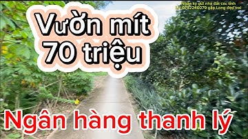 Nợ ngân hàng bán gấp vườn mít 70 triệu/ công , nhận ký gửi nhà đất các tỉnh LH 0792246079 gặp Long