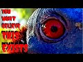 Dragon Eye Bird Close-Up STRANGEST BIRD IN THE WORLD