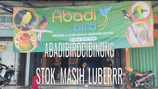 STOK MASIH LUBERRR update harga & stok burung masteran #ABADIBIRDCIBINONG_Rabu15/052024