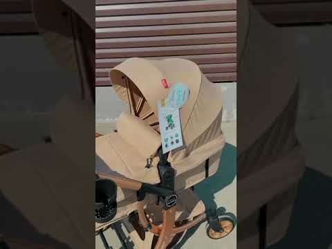 Коляска трансформер Aimile Original New Gold