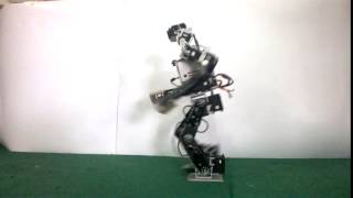 Humanoid Robot's Walking Test 1