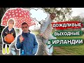 ☔️ДОЖДЛИВЫЕ ВЫХОДНЫЕ В ИРЛАНДИИ/ВОВА И ЗОНТ🤣/IKEA/ИГРАЕМ В БОУЛИНГ/МОЕ УТРО В ИРЛАНДИИ/ВЫРОСЛИ ЦЕНЫ