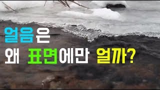 얼음은 왜 표면에만 얼까?