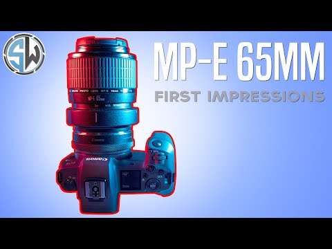 Canon MP-E 65mm f/2.8 1-5x Macro Lens - First Impressions!
