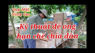 Kỹ thuật để ong hạn chế chia đàn